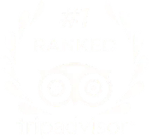 Altezza Travel classificada em 1º lugar no Tripadvisor