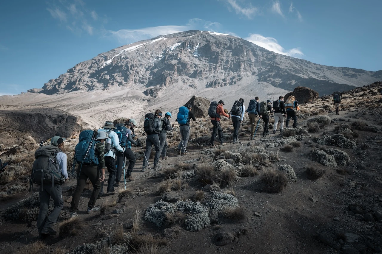 Participantes da Altezza em uma expedição compartilhada ao Kilimanjaro