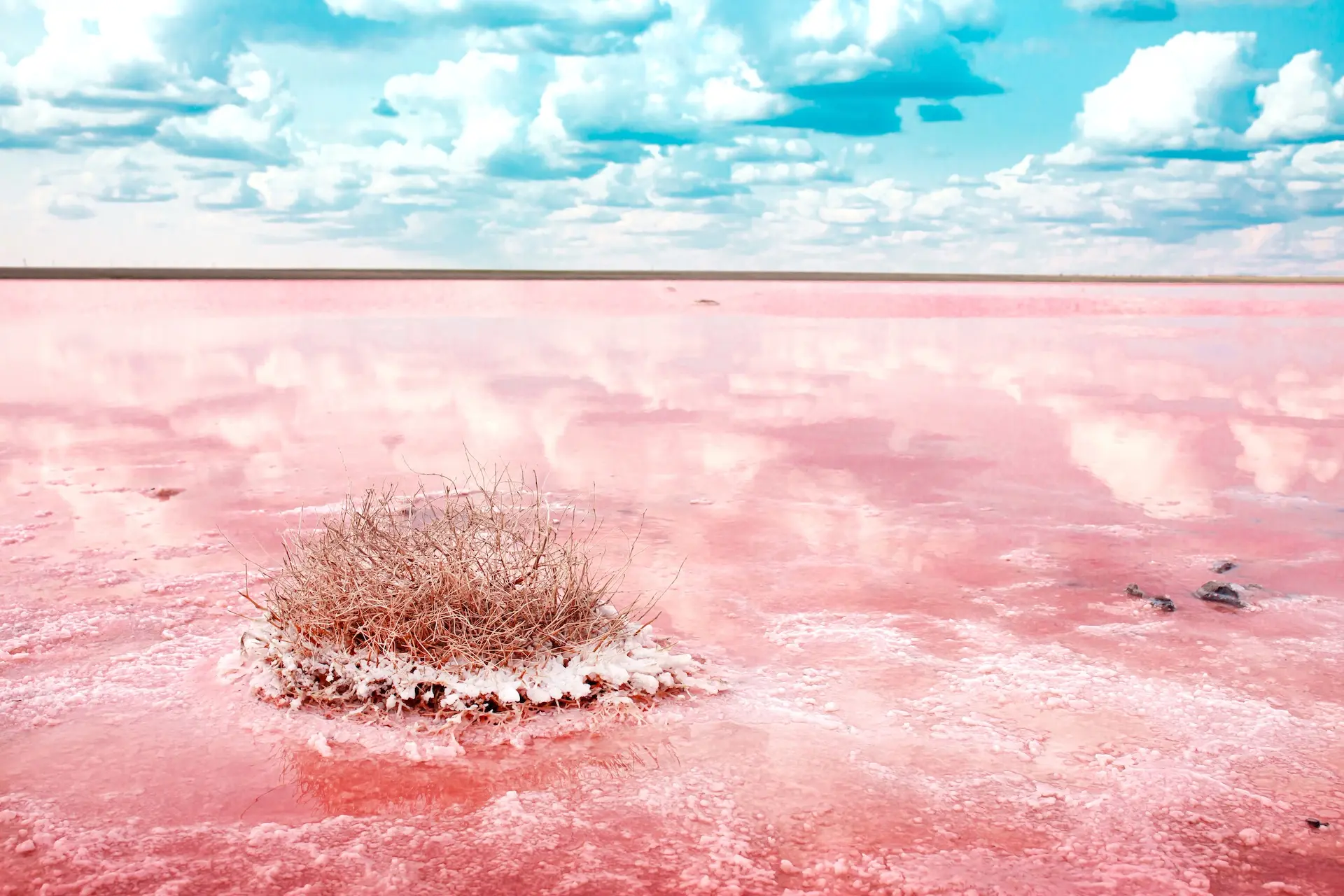 Na estação seca, o lago fica vermelho e coberto de sal. Foto: Vera Larina / Shutterstock