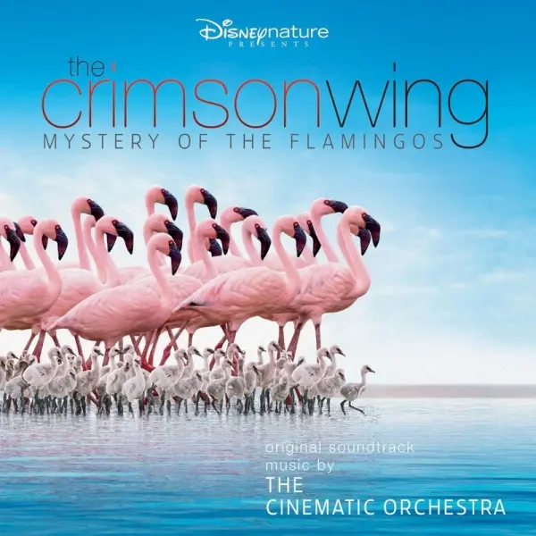 Capa do documentário “The Crimson Wing: Mystery of the Flamingos”