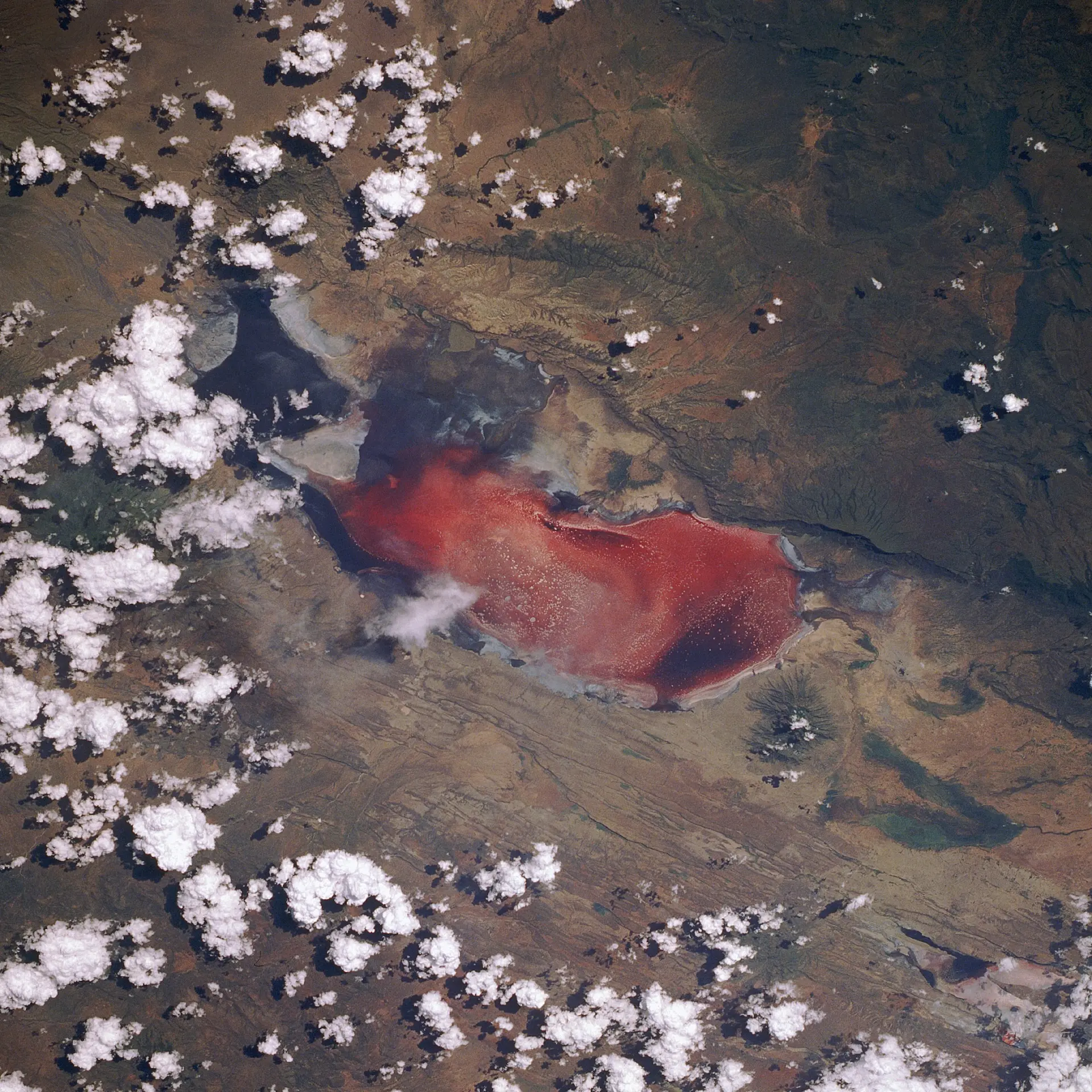 O lago Natron, às vezes chamado de "o lago vermelho mortal", visto do ônibus espacial Discovery durante a missão STS-29. Foto: NASA