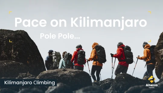 Encontrando seu ritmo no Kilimanjaro | Altezza Travel