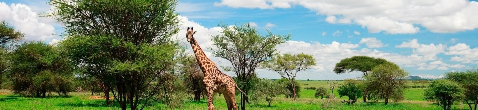 Parque Nacional de Arusha