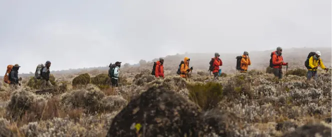 Rota Northern Circuit - Dia 6 - Trekking de Buffalo Camp a 3rd Cave Camp