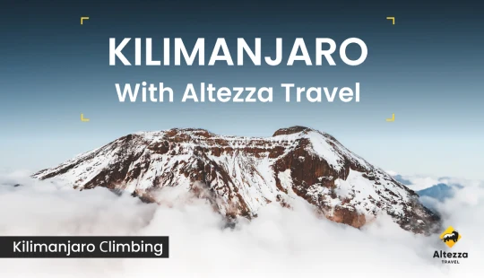 Escalada do Kilimanjaro: informações essenciais | Altezza Travel