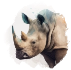 Rinoceronte