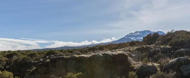 Rota Marangu - Dia 3 - Trekking da cabana Mandara à cabana Horombo