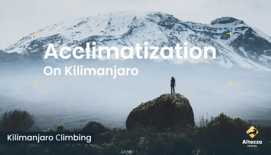 Aclimatação no Kilimanjaro | Altezza Travel