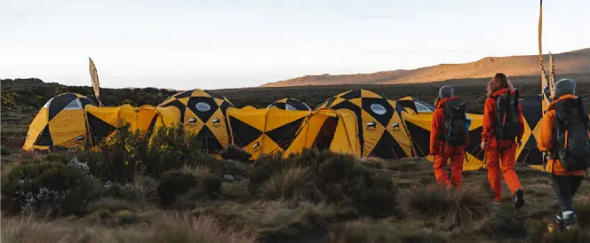 Rota Northern Circuit - Dia 3 - Trekking de Shira 1 a Shira 2