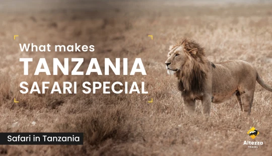O que torna o safári na Tanzânia especial