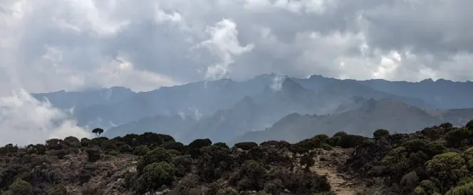 Rota Umbwe - Dia 3 - Trekking de Umbwe Camp a Barranco Camp