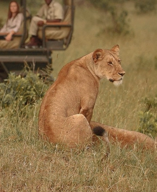 Parque Nacional do Serengeti